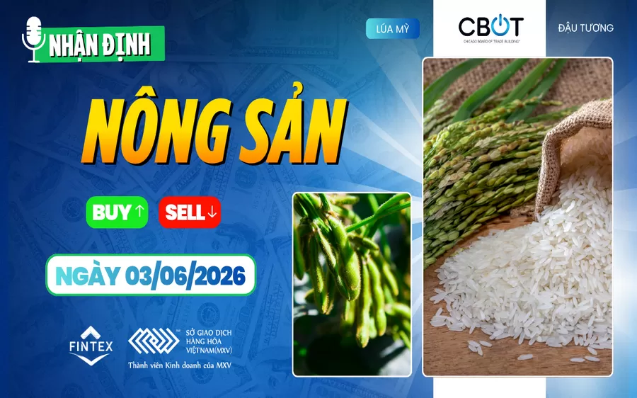 NHẬN ĐỊNH THỊ TRƯỜNG NÔNG SẢN NGÀY 03/06/2026